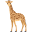 :żyrafa: