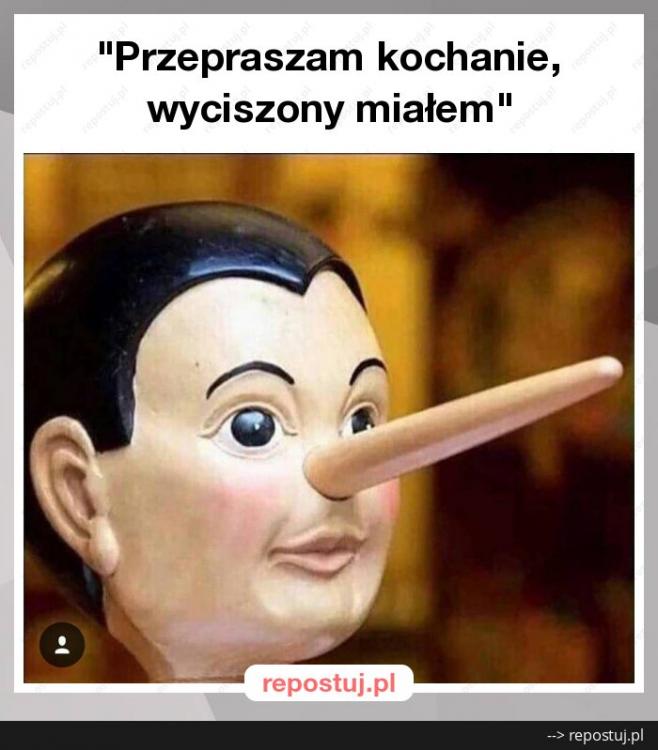 pinokio.jpg