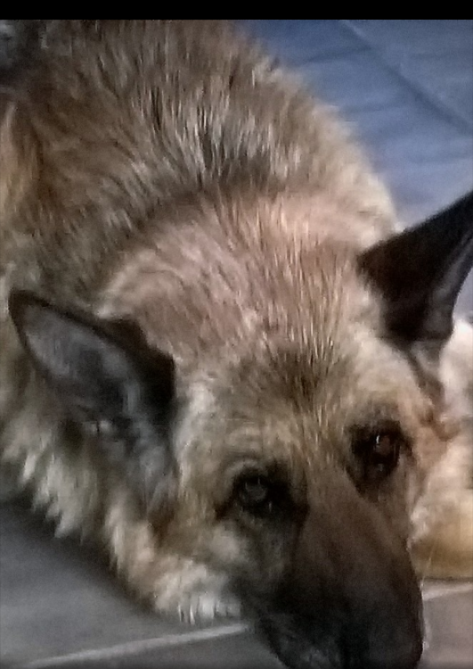 wp_ss_20180131_0001 (2).png