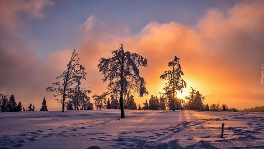 tapeta-zimowy-sloneczny-poranek.jpg
