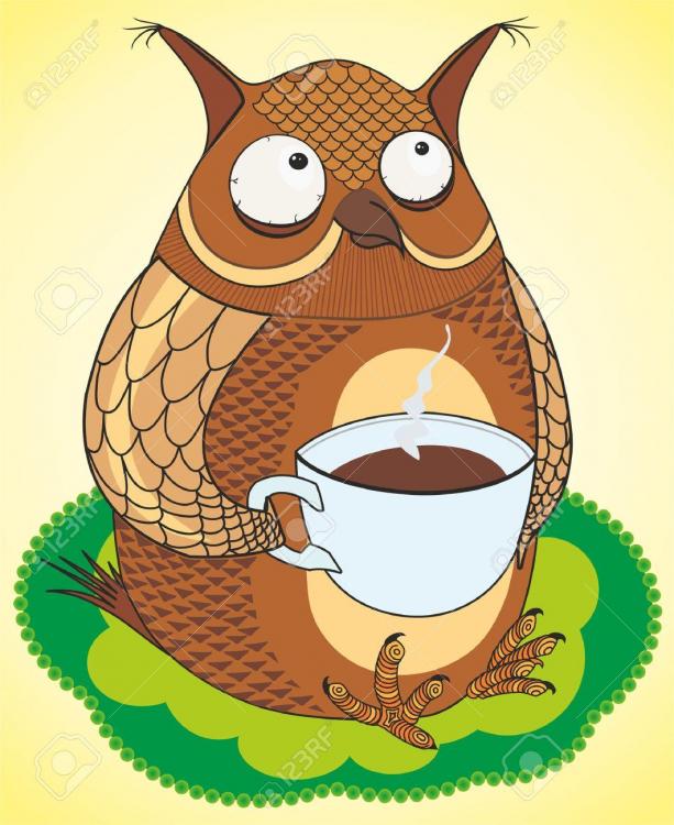 19159244-funny-owl-coffee-drinks-Stock-Photo.jpg