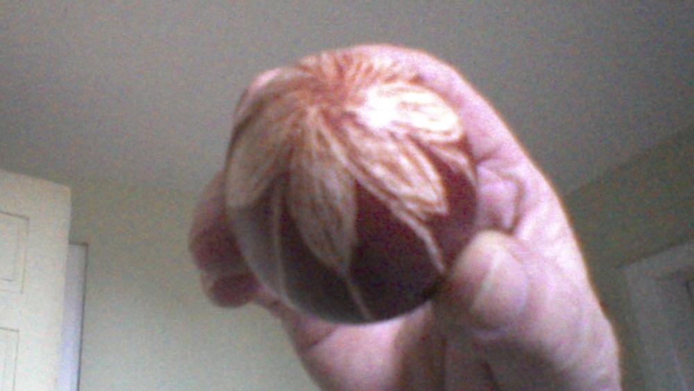 WIN_20180401_124840 (3).JPG