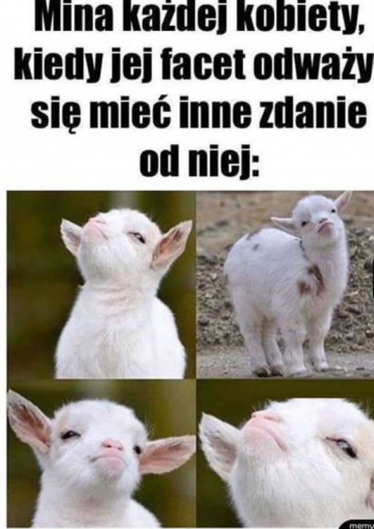 wp_ss_20180402_0004 (2).png