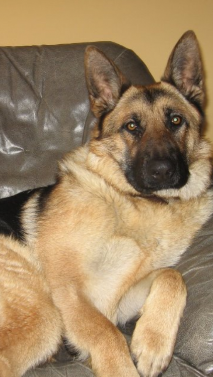 wp_ss_20180131_0004 (2).png