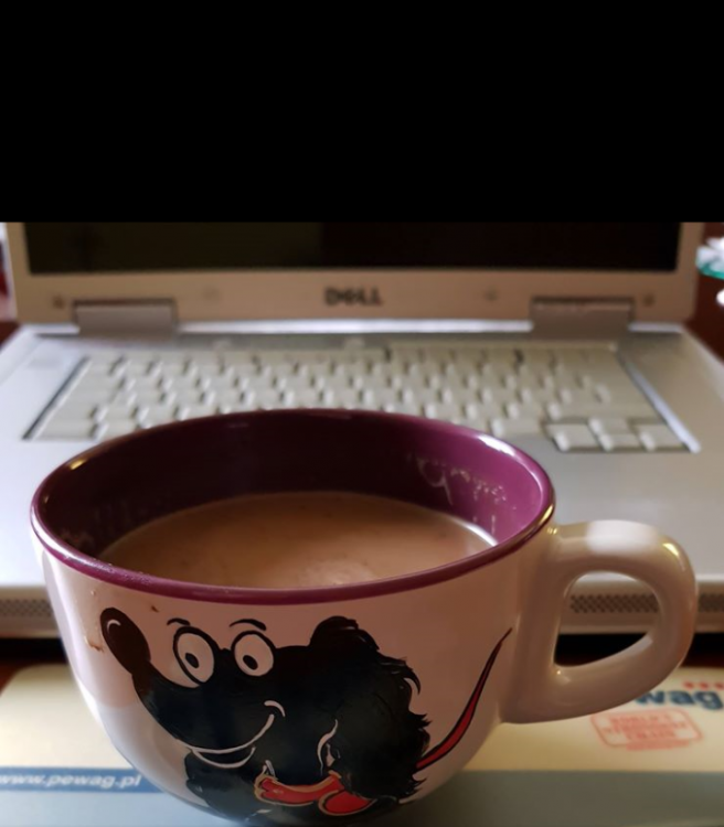 wp_ss_20180314_0001 (2).png