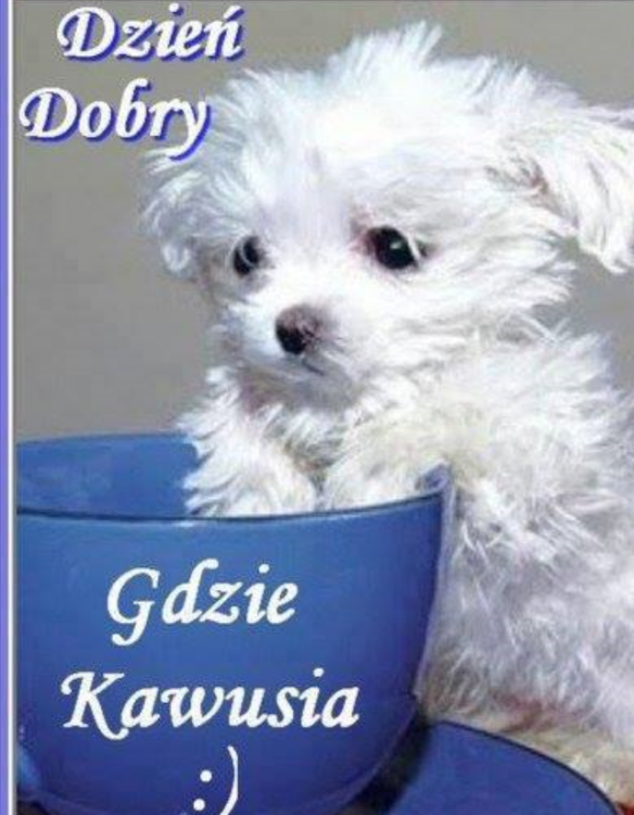 wp_ss_20180513_0002 (2).png