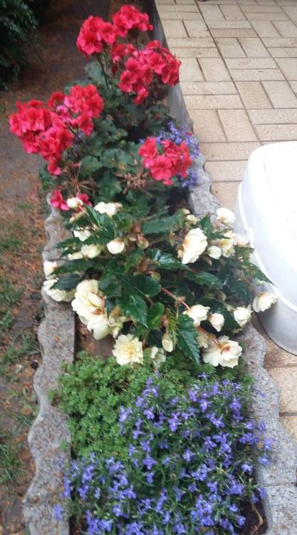 received_1855538227825986.jpeg