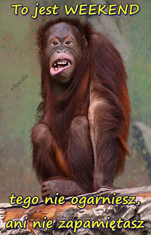 to_jest_weekend_tego_nie_ogarniesz_ani_9274.jpg