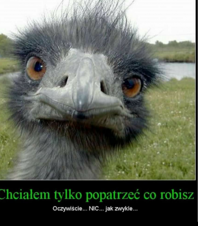 wp_ss_20180318_0002 (2).png