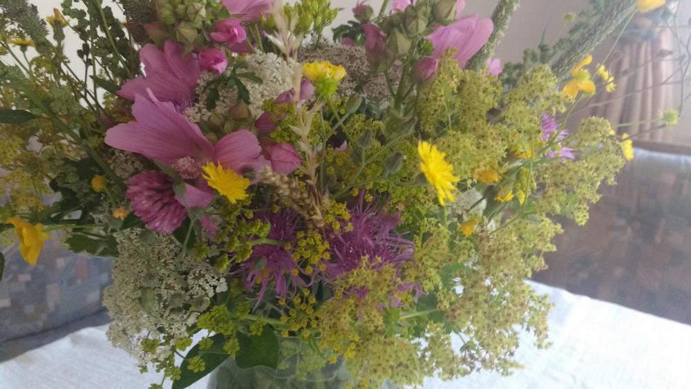 IMG_20180716_133611282 (Kopiowanie).jpg