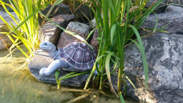 Na imię mi Hans.jpg