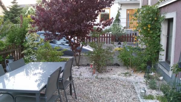 Nie mam lipy...świdośliwa musi cienia dostarczyć.jpg