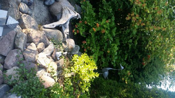 Czaję się na rybki.jpg