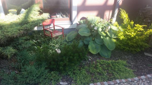 Dziecięce krzesełko też koże zdobić ogród