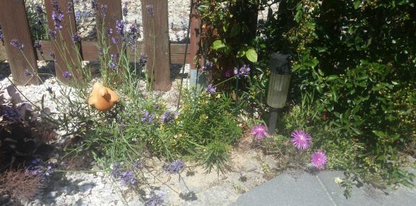 To nie Italia...ale prawie.jpg