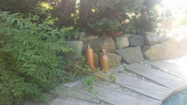 Cienisty zakątek pod cyprysem