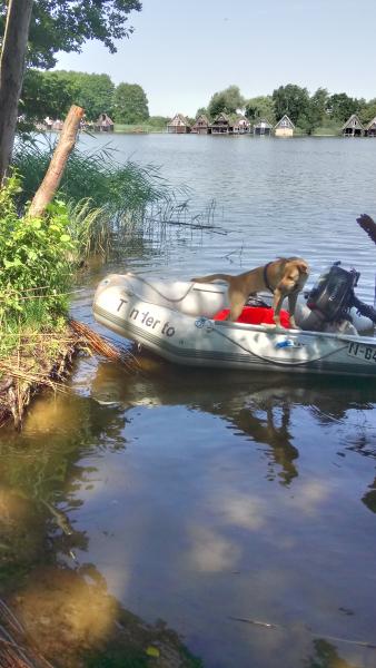 2018-urlop ,diabełek boi sie pływać haha.jpg