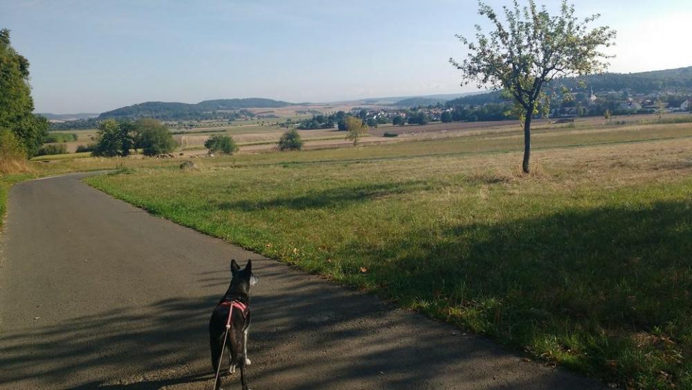 IMG_20180826_093431415 (Kopiowanie) (Kopiowanie).jpg