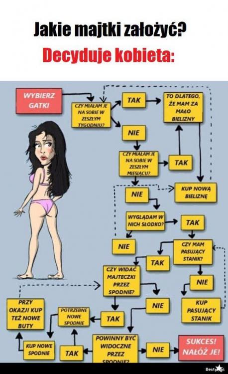 memy - da8f826f1daf4947a57674ae51d27f76.jpg