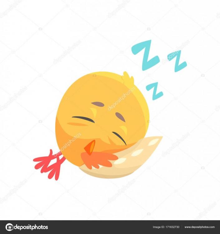 depositphotos_171632730-stock-illustration-funny-cartoon-comic-chicken-sleeping.thumb.jpg.9aaa8375a89cb548aa5398ee028a8f67.jpg