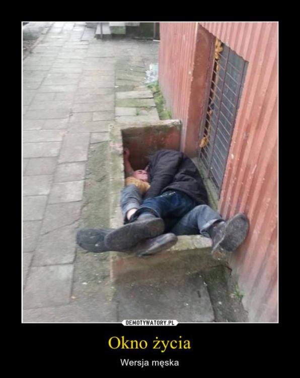 okno zycia.jpg