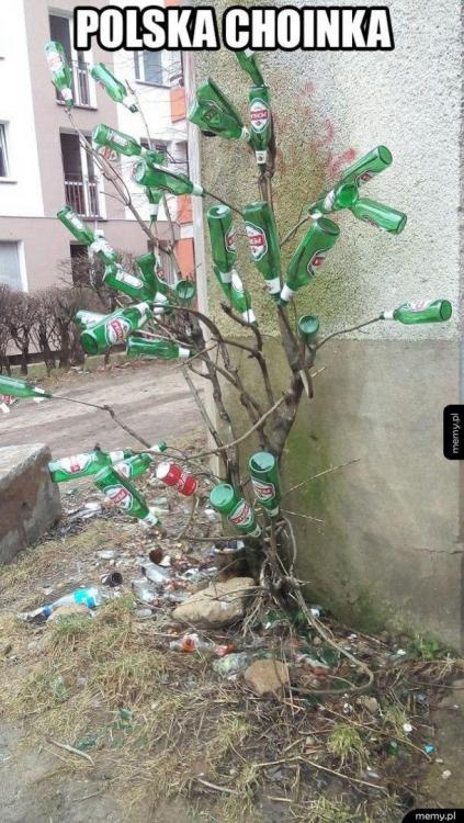 choinka 14899427024333.jpg