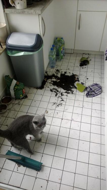 earl and Eaglet2.jpg