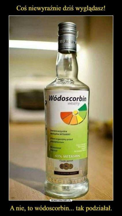 wódkoskorbin - 108c4d336.jpg