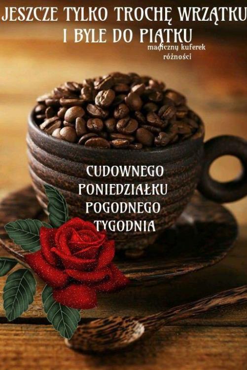 kawa - ba9536bd07d34c5353227fc3d9901d83.jpg