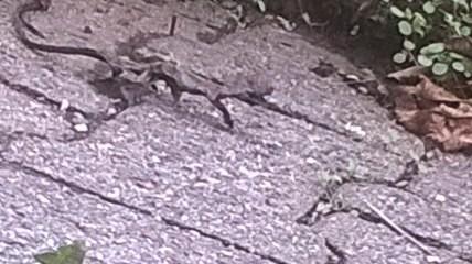 WP_20190410_14_16_07_Pro (2).jpg