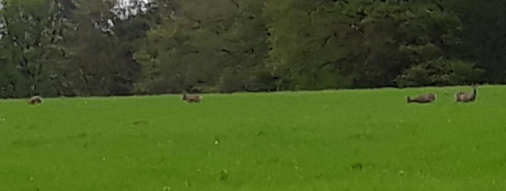 20190503_143745.jpg
