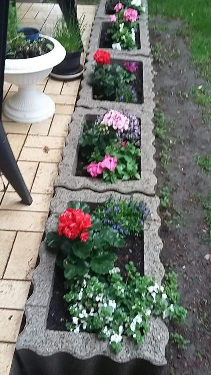 received_1149603208552809.jpeg