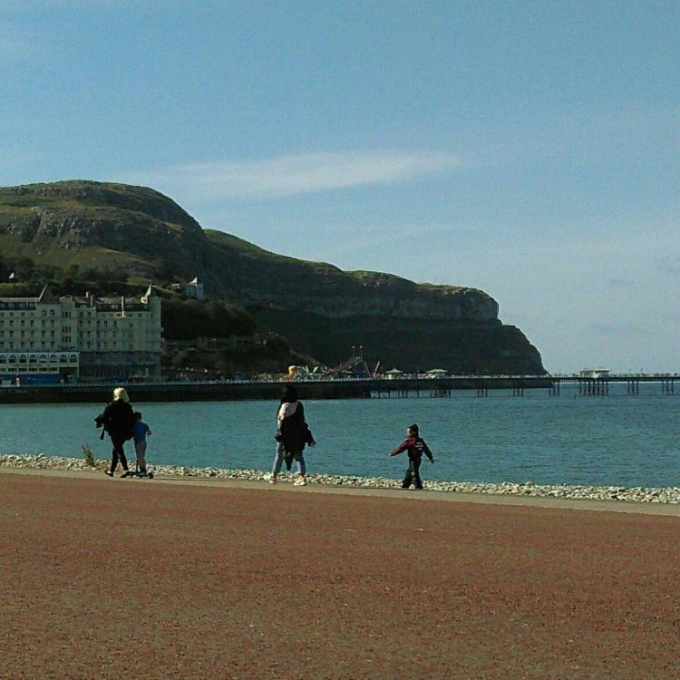 IMAG1790_1_1.jpg