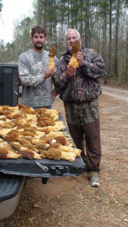 grzyby - 1755843990618d775d5668fc209bf563.jpg