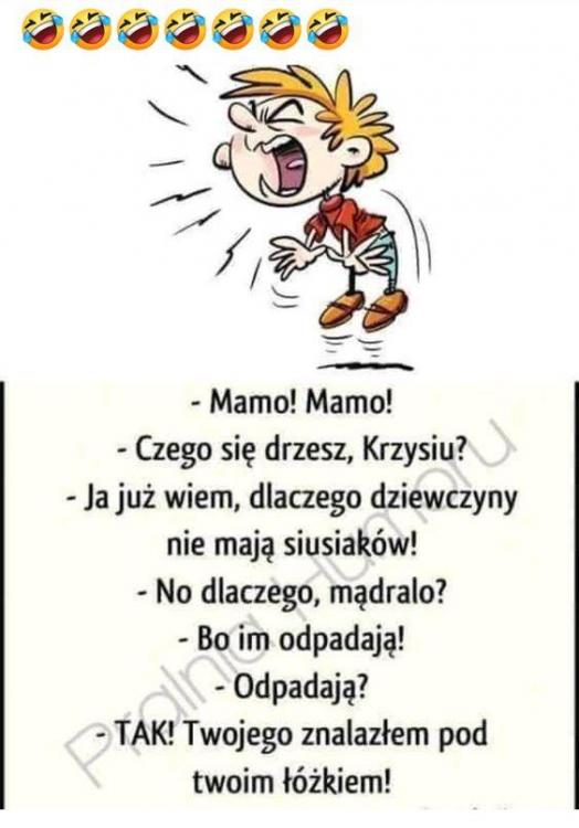 siusiak - dd8674f47b337264e4d6f35f216e95ac.jpg