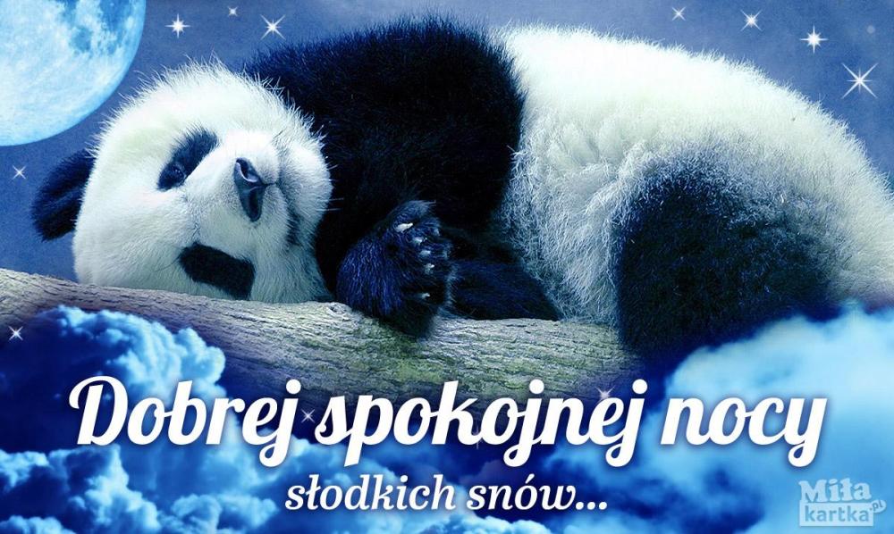 Dobranoc_1200_17.jpg