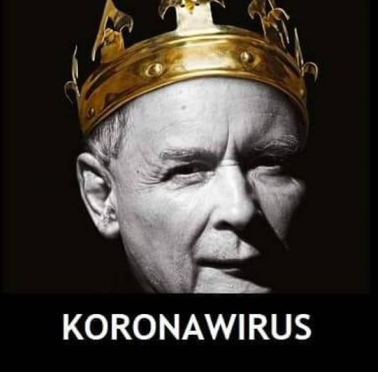 korona worus 3.jpg