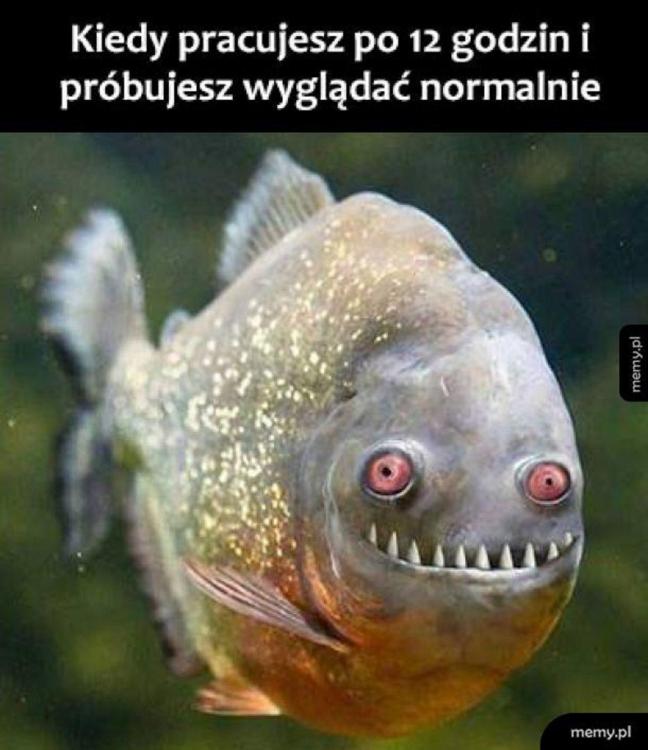 kiedy pracujesz po 12 g...jpeg