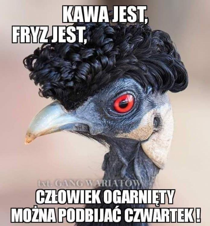 czartek1!.jpg