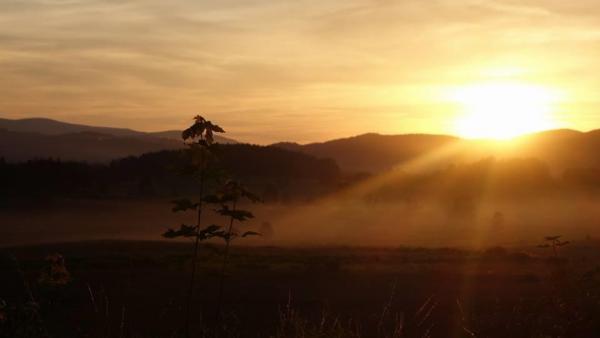 F8C58C69-7530-4955-9B0F-5DFC18267D6E