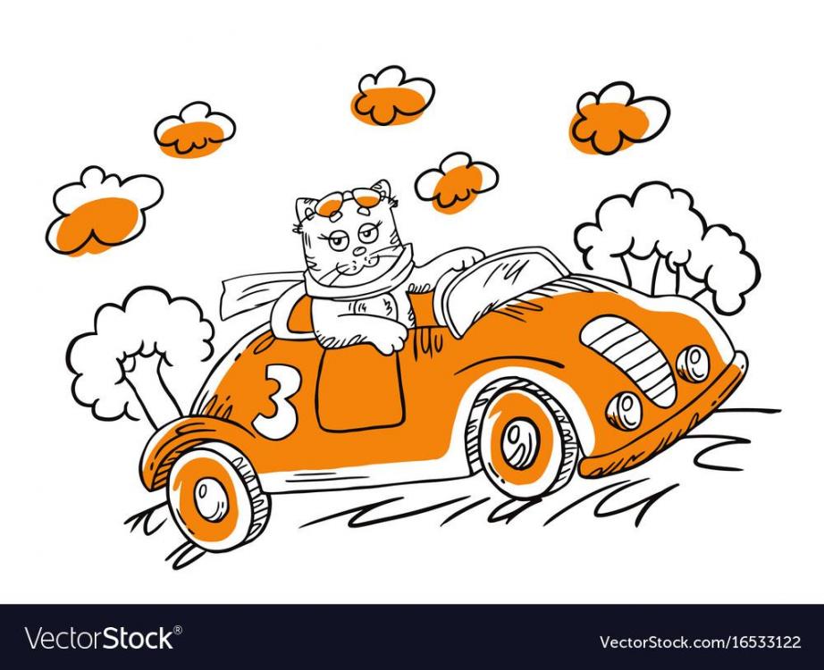with-cartoon-cat-in-a-car-vector-16533122.jpg