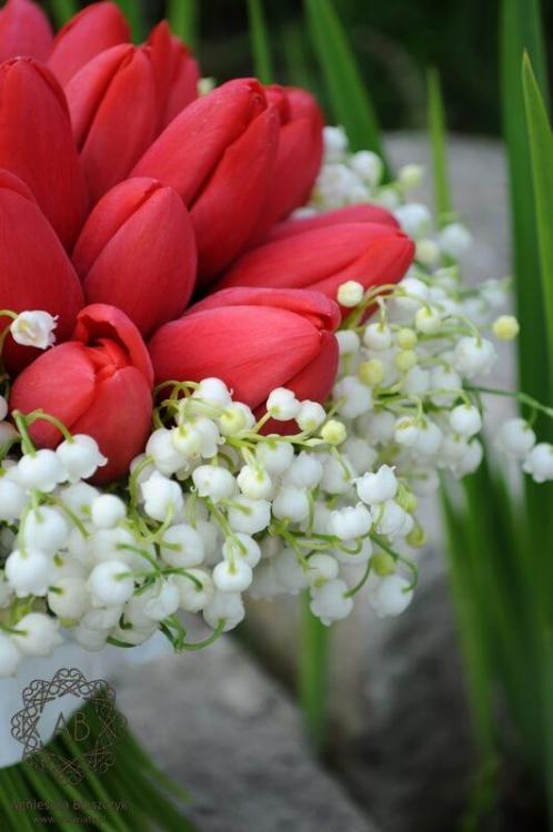 bukiet_slubny_krakow_czerwone_tulipany_biale_konwalie_agnieszka_blaszczyk_abkwiaty2.jpg