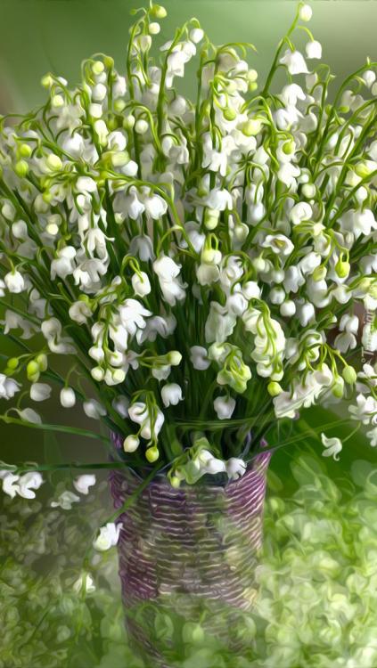 tapeta-na-telefon-bukiet-konwalii-w-wazonie.jpg