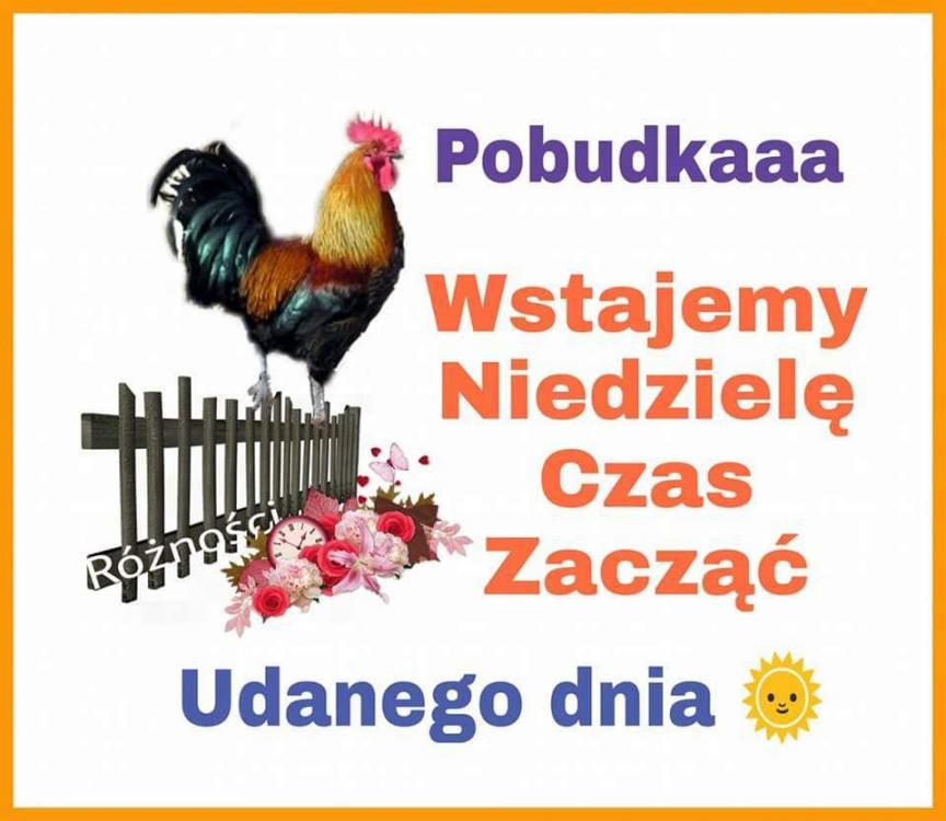 niedziela_008.jpg