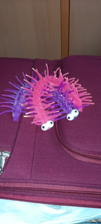 20220329_103022.jpg