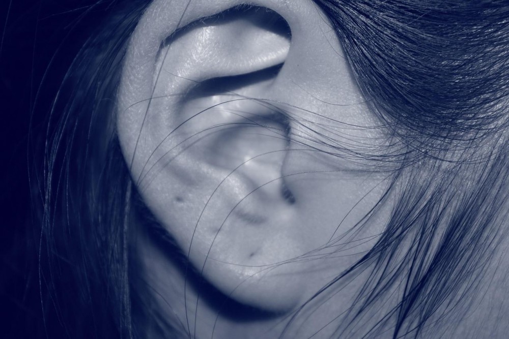ear-207405.jpg