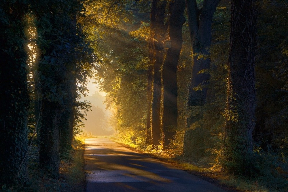 path-7341731.jpg