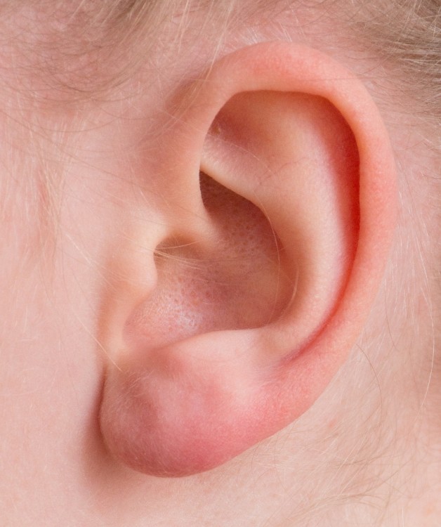 ear-2372090.jpg