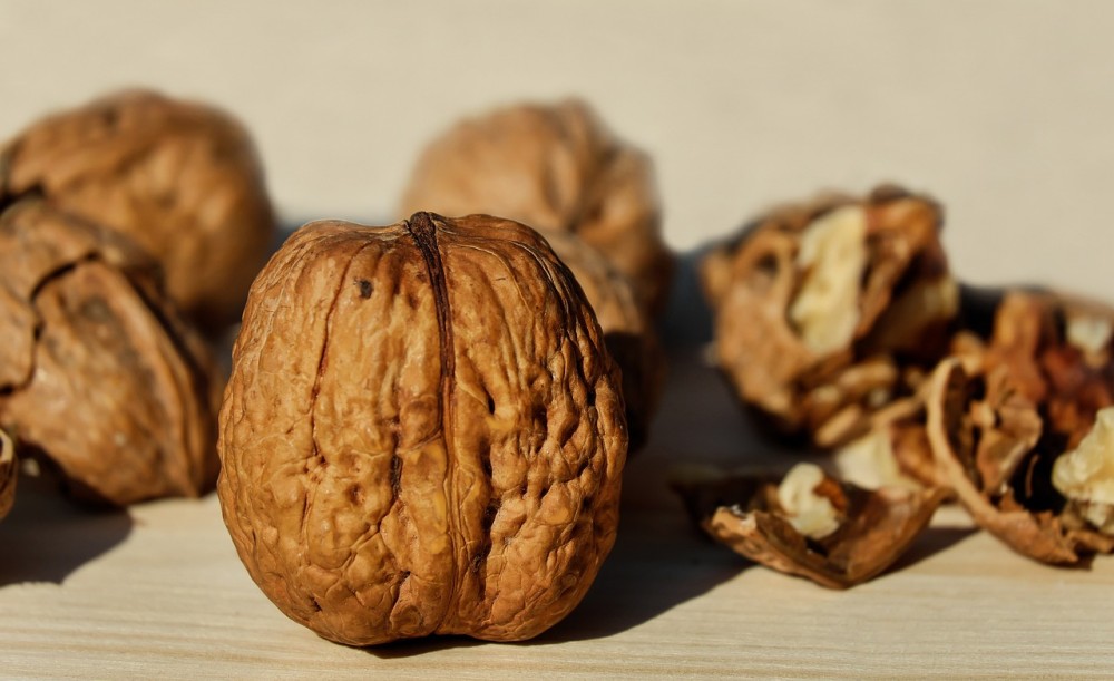 walnuts-1739021.jpg