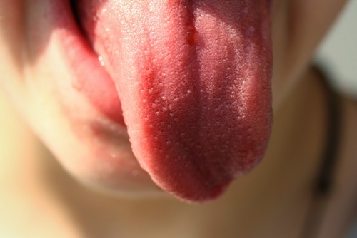 tongue-822441.thumb.jpg.35b567dba17d27fff8c2e99be2f783ac.jpg